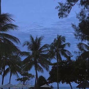 搡老熟女乱婬一区二区
